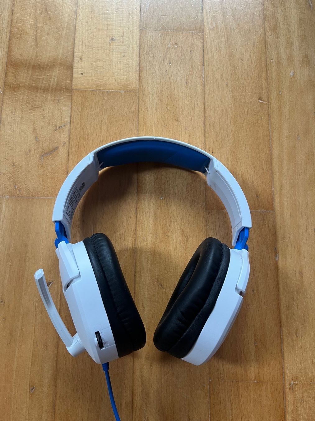 Cuffie: Turtle Beach Recon 70 – Usato da Berg am Irchel venduto da fbeadg 1