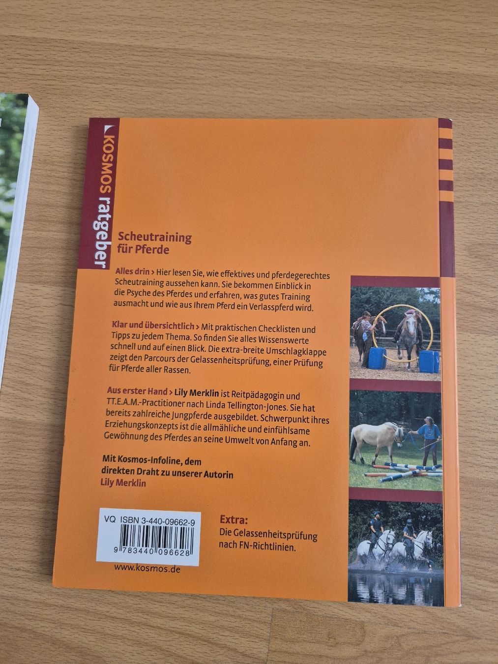 Briglie & Cavezze: Pferdefachbuch "Scheutraining für Pferde" – Nuovo (secondo la descrizione) da Meggen venduto da Orrinka20 1