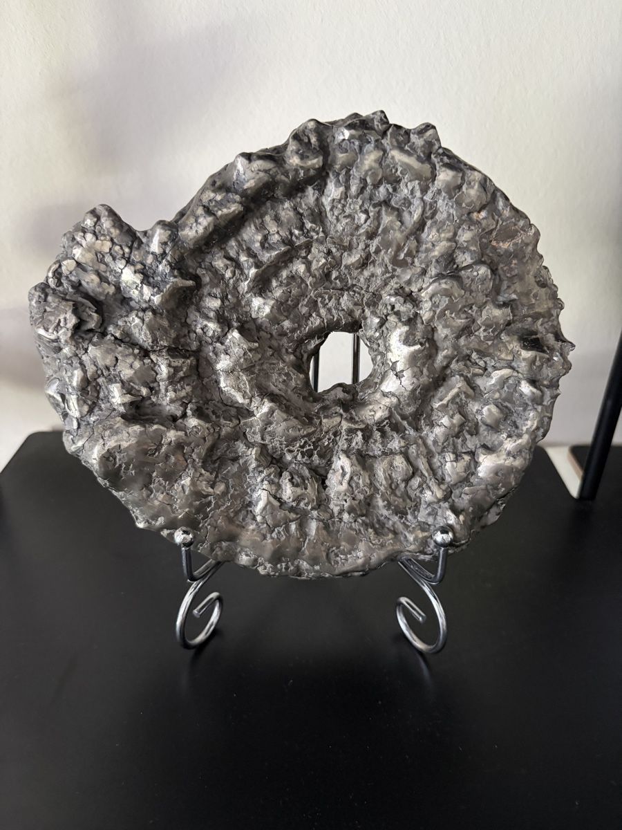 Fossili: Ammonit pyritisiert. Jura Zeit. – Nuovo (secondo la descrizione) da Adliswil venduto da Moroz173 2