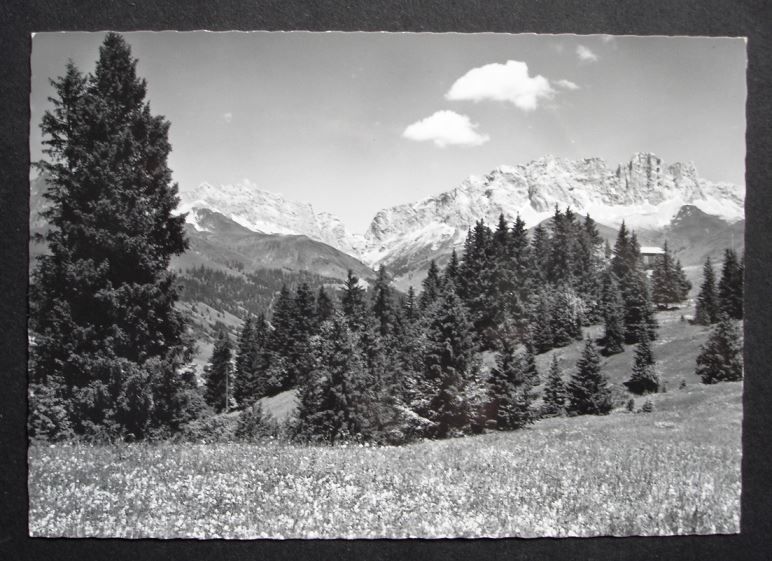 Cartes postales: SCHIERS Stelserberg Berghaus Mottis – Neuf (Voir description) à Jona par philajona