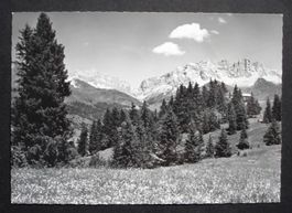SCHIERS Stelserberg Berghaus Mottis