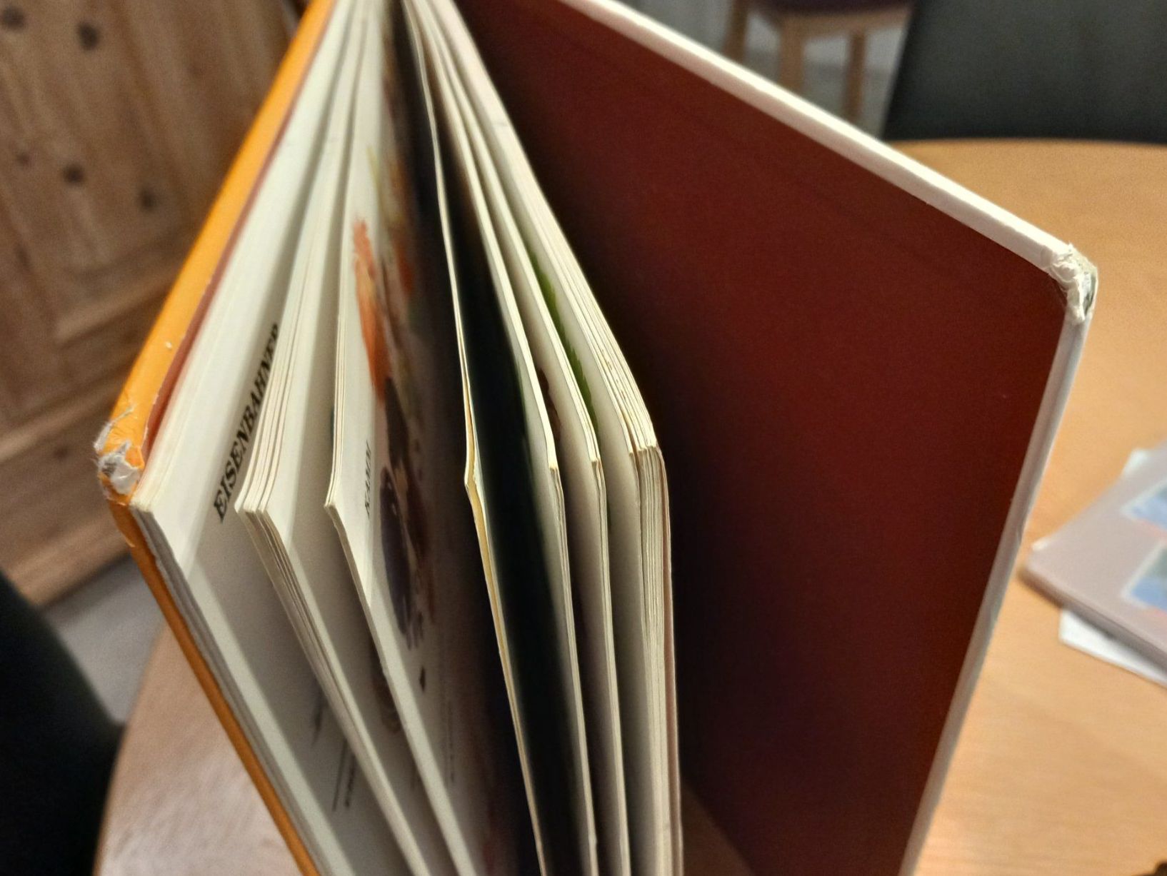 Libri: Das grosse Wörterbuch der Bären – Usato da Bad Zurzach venduto da Waage15 7
