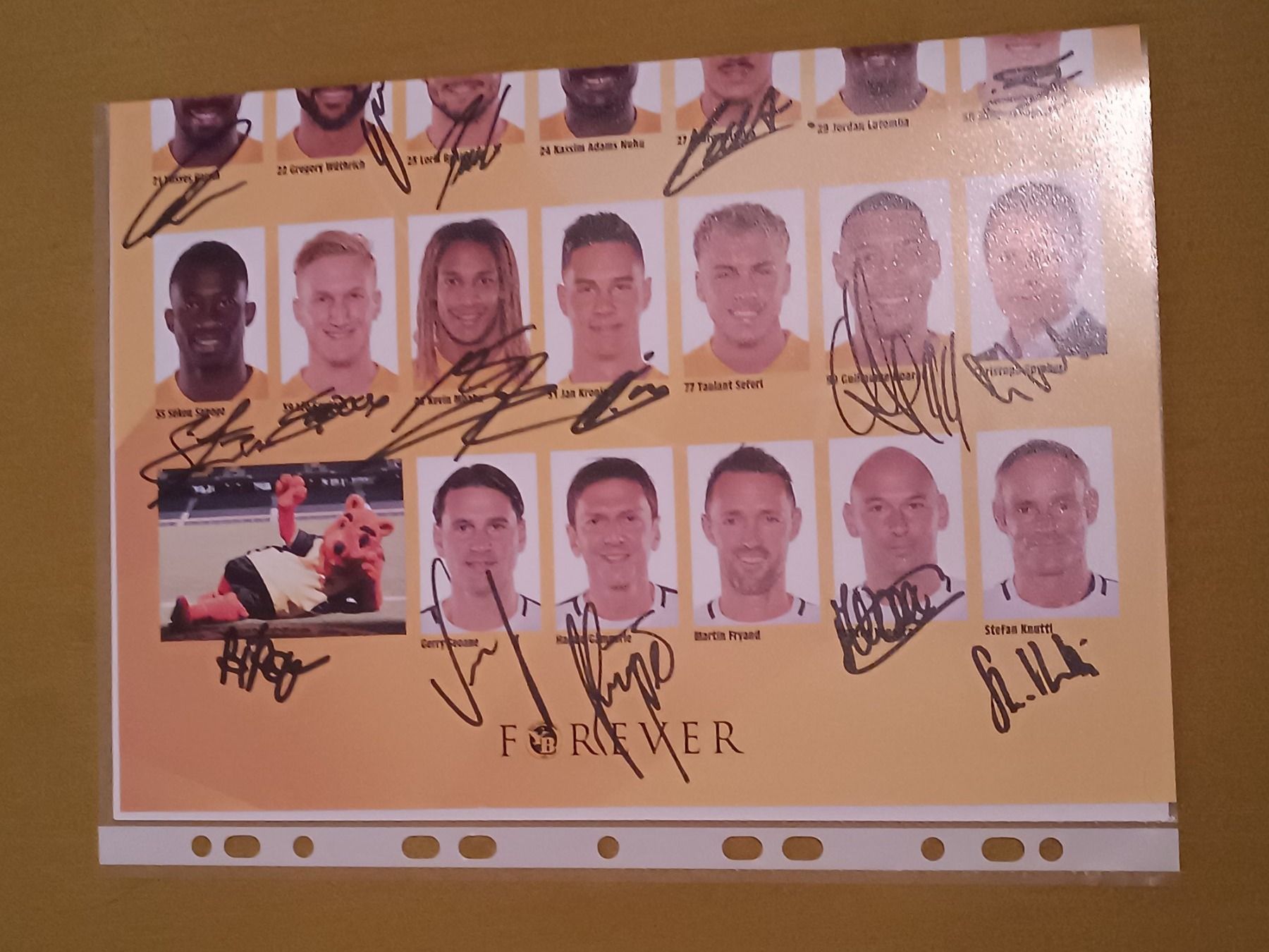 Autografi: YB 2018 - persönlich gesammelt – Usato da Menziken venduto da Autogramme 2