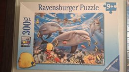 Ravensburger Puzzle Delfine XXL 300 Teile 