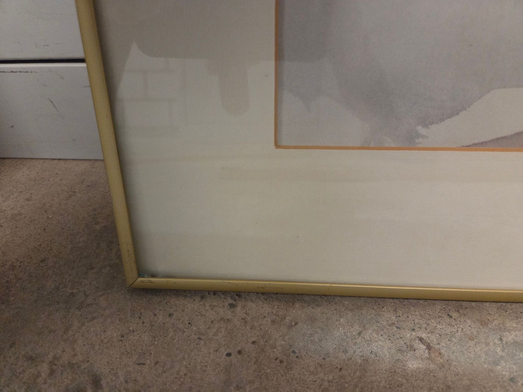 Dipinti: 2 Aquarellbilder "Physalis" – Usato da St. Gallen venduto da Razoon77 7