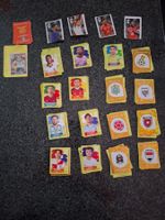 Panini WM26, 1xExtra, 155xBilder(8xStars)+4xCola+10x Digit.