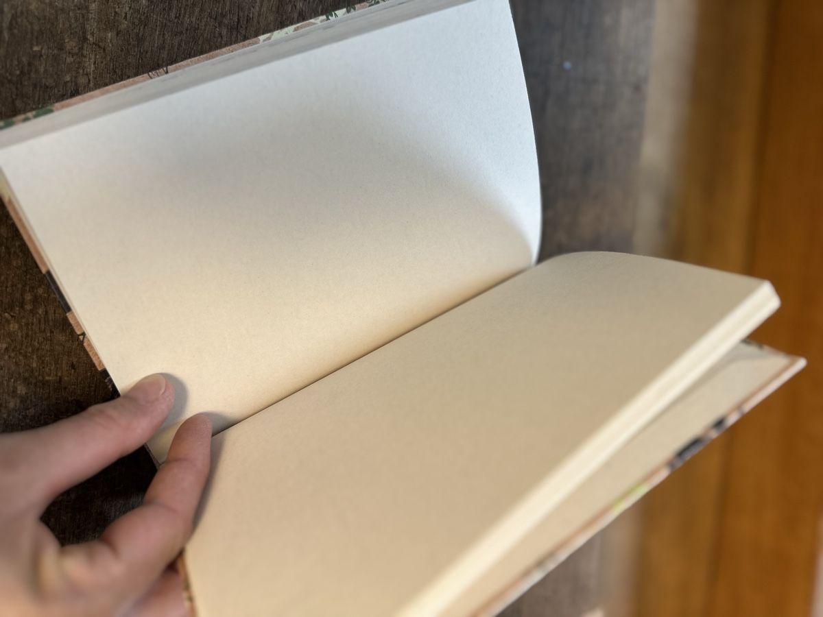 Bücher: Mein Willow Waldtagebuch  NEU – Neu (gemäss Beschreibung) aus Ettingen von rah_xgy9 8