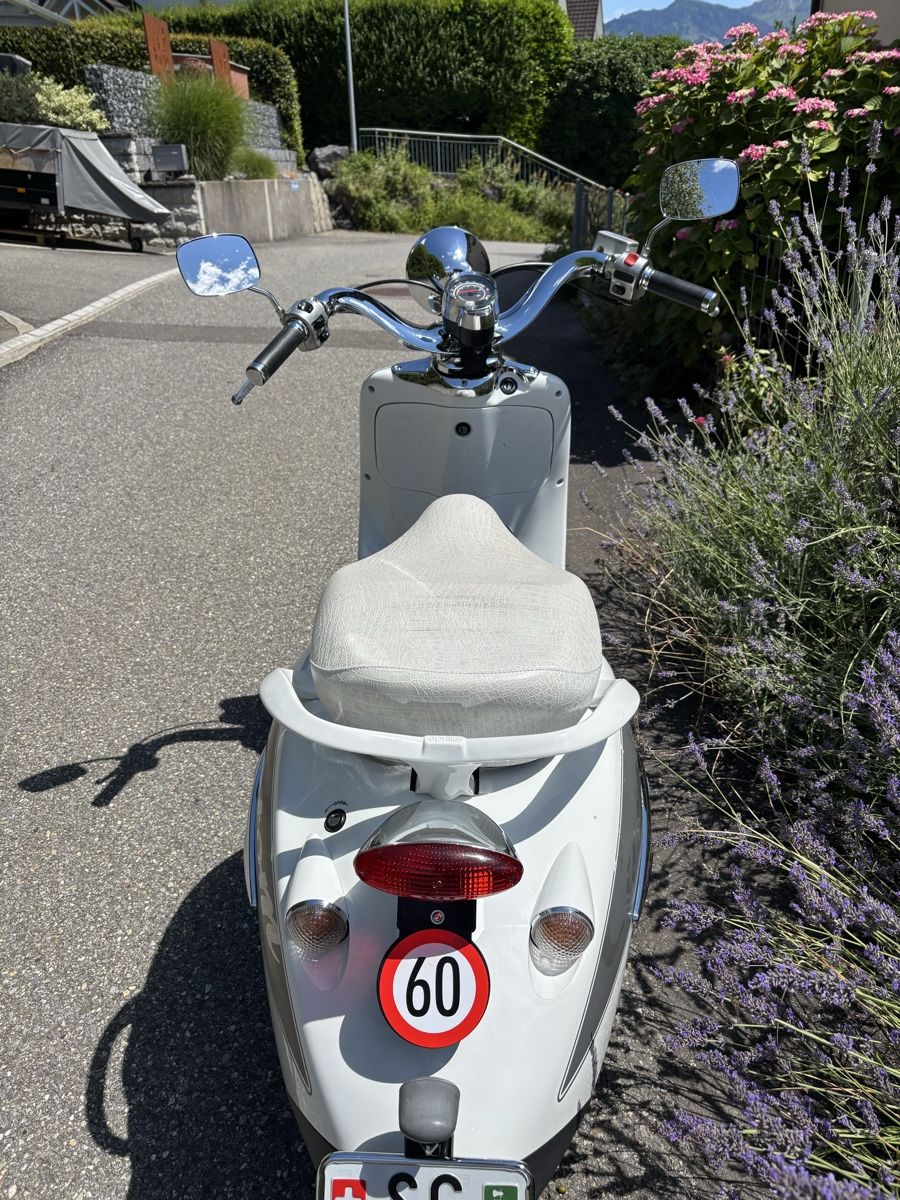 Aprilia Route: Aprilia Roller Mojito 50ccm – D'occasion à Uznach par Sev82 3