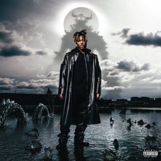 Dischi in vinile: Vinyle Juice WRLD Fighting Demons - LP Come Neuf – Usato da Etoy venduto da vin_hss9