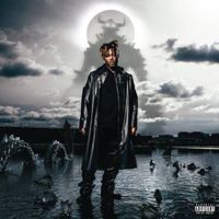 Vinyle Juice WRLD Fighting Demons - LP Come Neuf