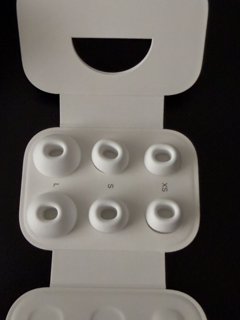 Apple Cuffie: Apple AirPods Pro (2nd generation) – Usato da Ebikon venduto da Stefan000 2