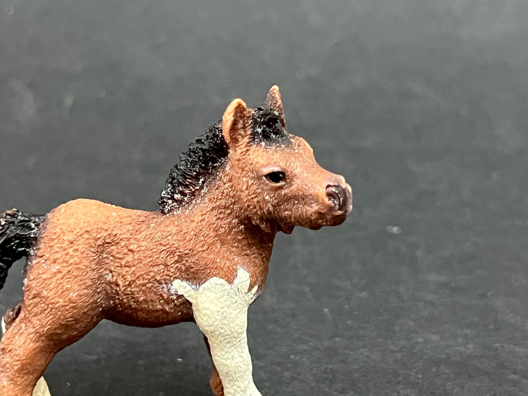 Schleich Statuette: Schleich Mini Shetty Horse Club – Usato da Ennetbaden venduto da mapa05 1