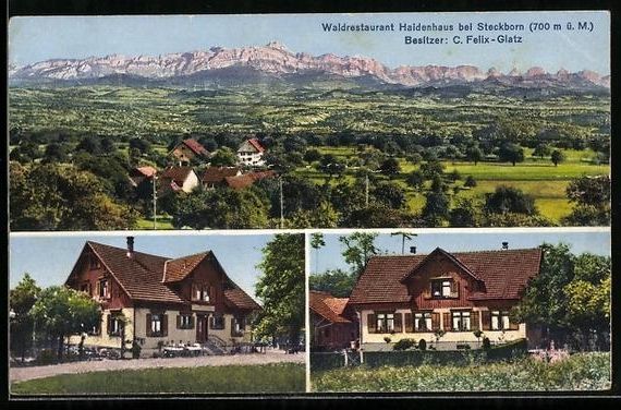Cartoline postali: AK Steckborn, Waldrestaurant Haidenhaus – Usato da Berlin venduto da bartko-reher
