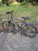 Crosswave S700 Cross Route Fahrrad