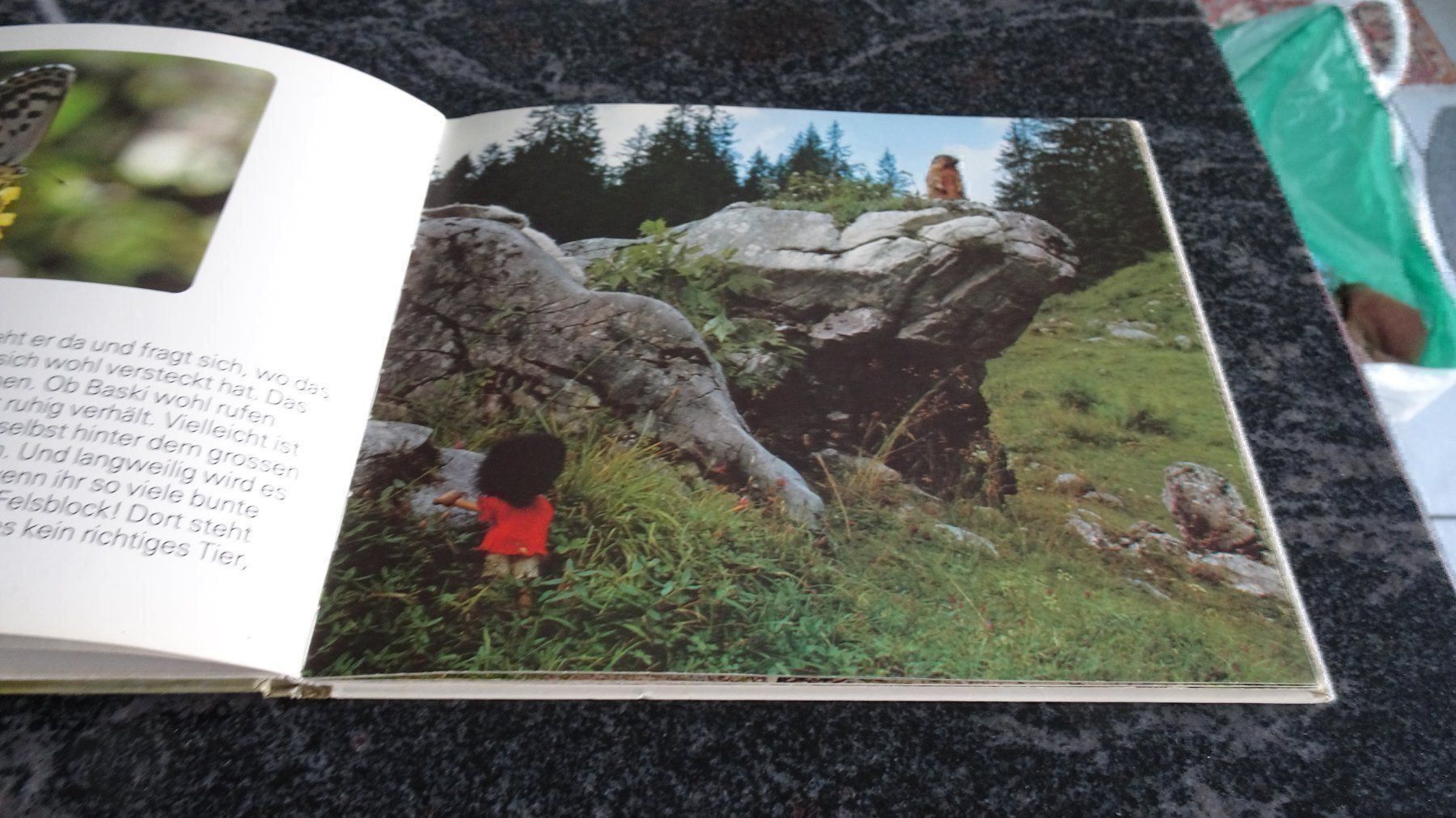 Libri: BASIK AUF DER ALP  JAHR 1979 – Usato da Zürich venduto da Roulet 8