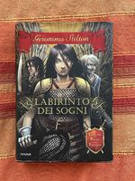 Il labirinto dei sogni - Geronimo Stilton