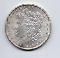 (1335) USA, 1 Dollar 1887, top stgl