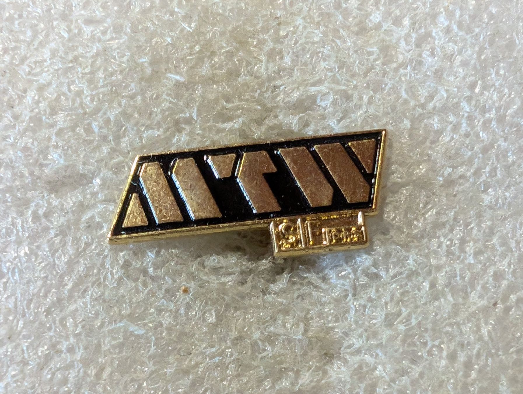 Plaketten & Abzeichen: Ansteckpin 158: MTW – Gebraucht aus Oppligen von Pin-Fall-Shop