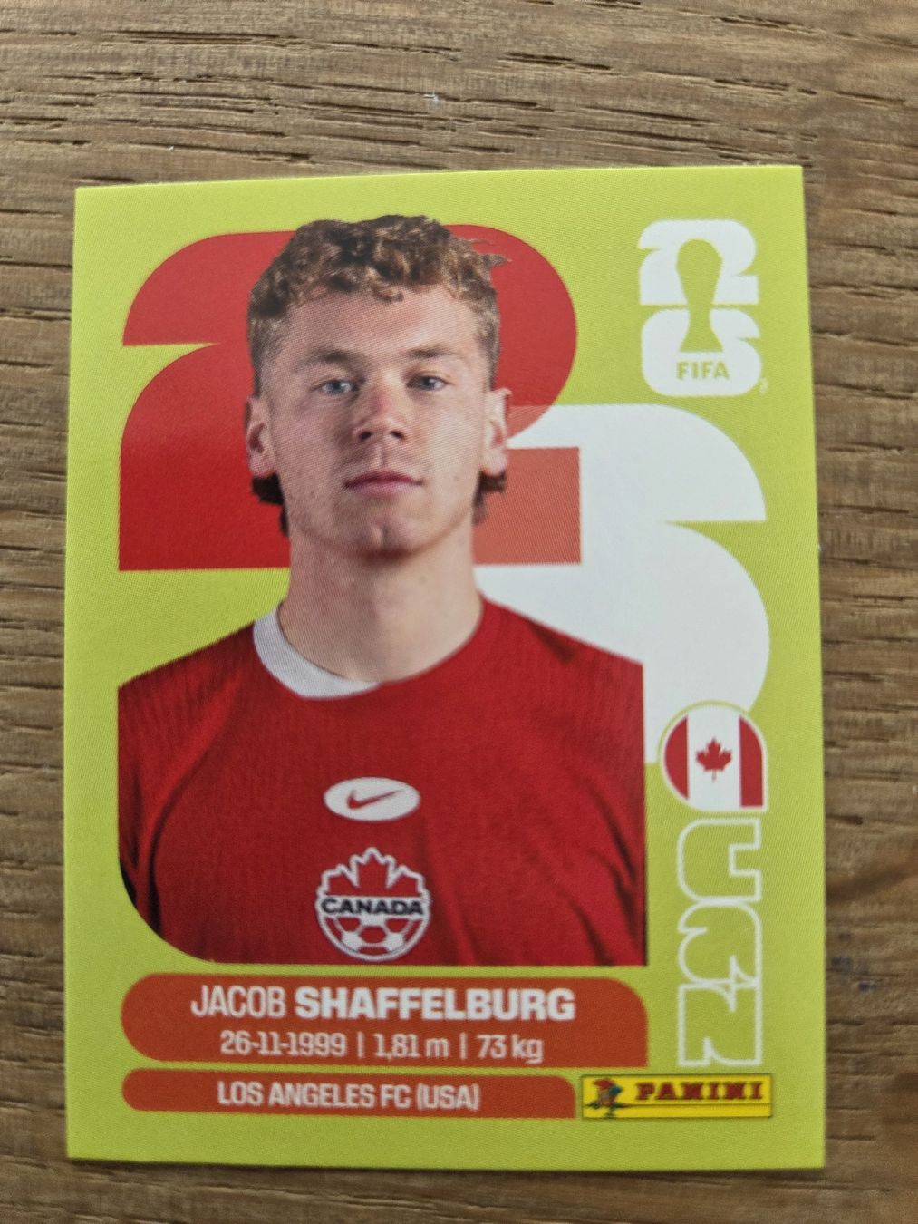 Panini Carte collezionabili: Panini Sticker 2026 CAN 14 – Nuovo (secondo la descrizione) da Luzern venduto da .Skylake.