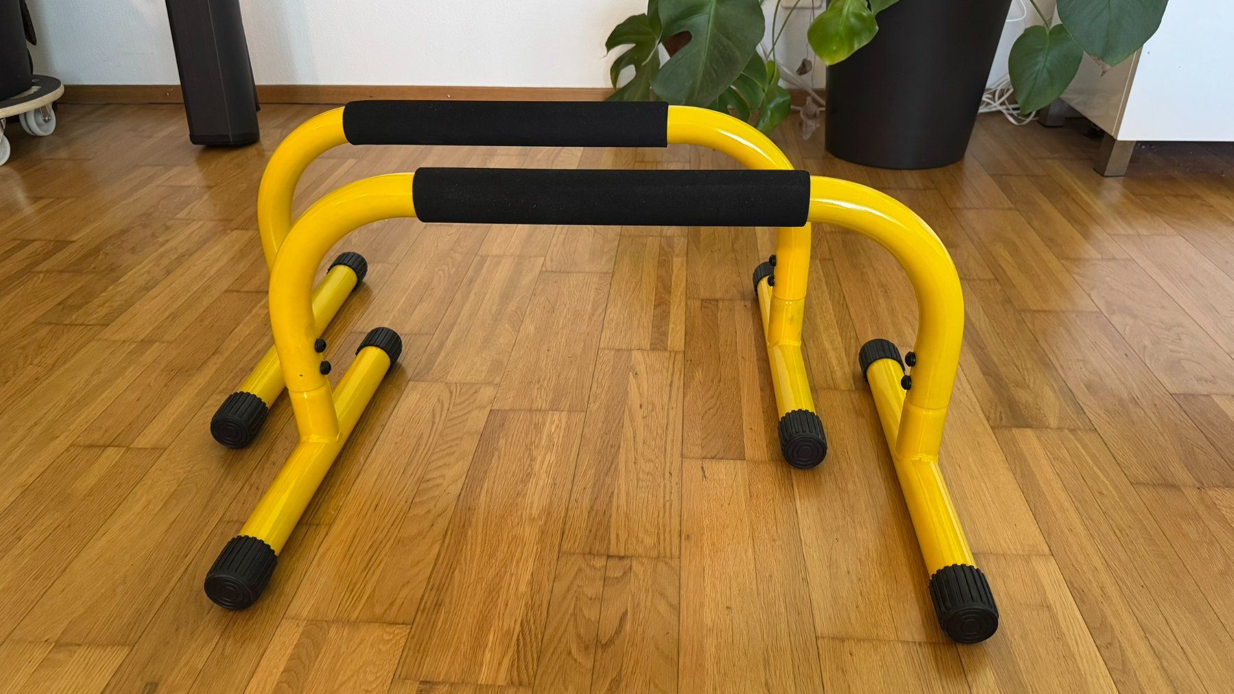 Hometrainer: Lebert Fitness Parallettes – Usato da Bonaduz venduto da laryxfary