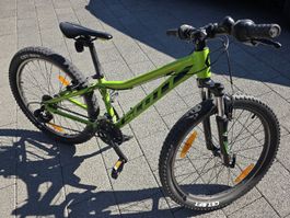 scott scale 24