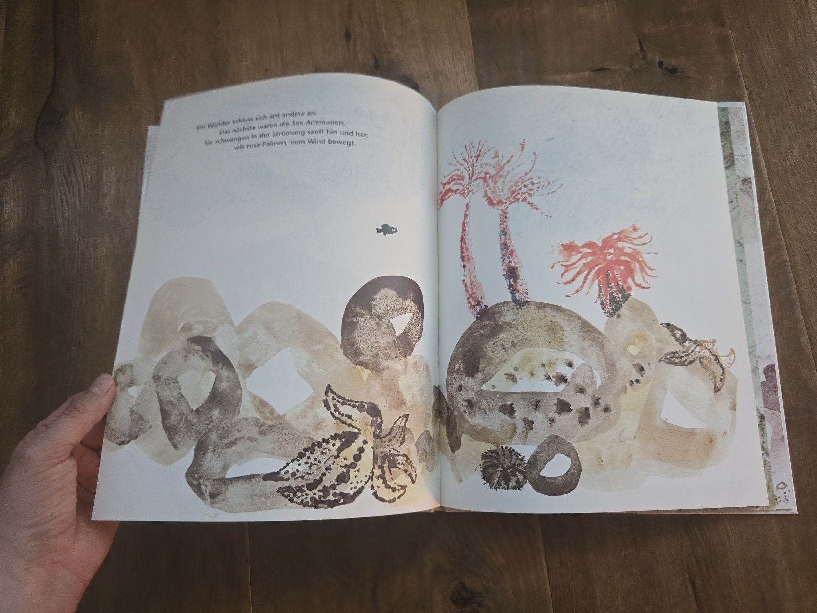 Bücher: Leo Lionni - Swimmy - Kinderbuchklassiker – Gebraucht aus Wittenbach von Tigerlili 8