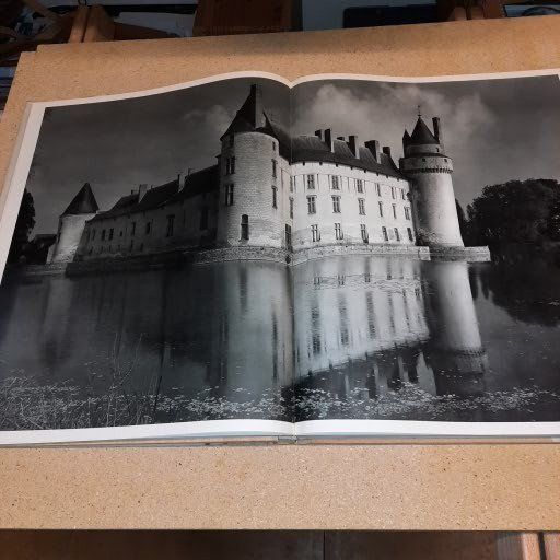 Libri: Buch, Le Chateau de la Loire – Usato da Kilchberg ZH venduto da Ernzi47 3