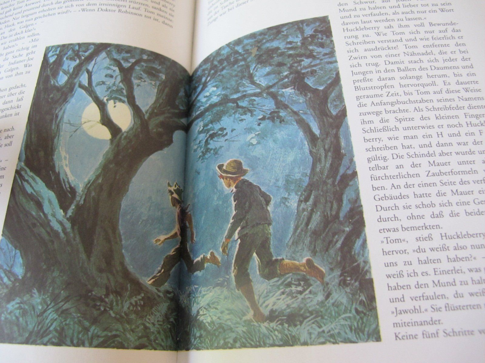 Livres: Tom Sawyers Abenteuer – Neuf (Voir description) à Löhningen par Chimae67 3