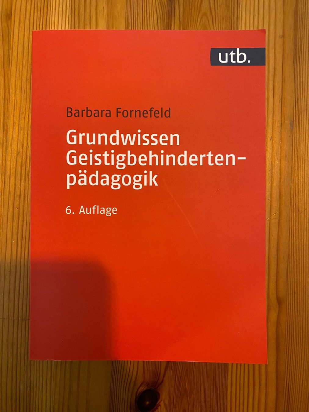 Libri: Grundwissen geistigbehindertenpädagogik – Nuovo (secondo la descrizione) da Kriens venduto da Flavio-Rosanna