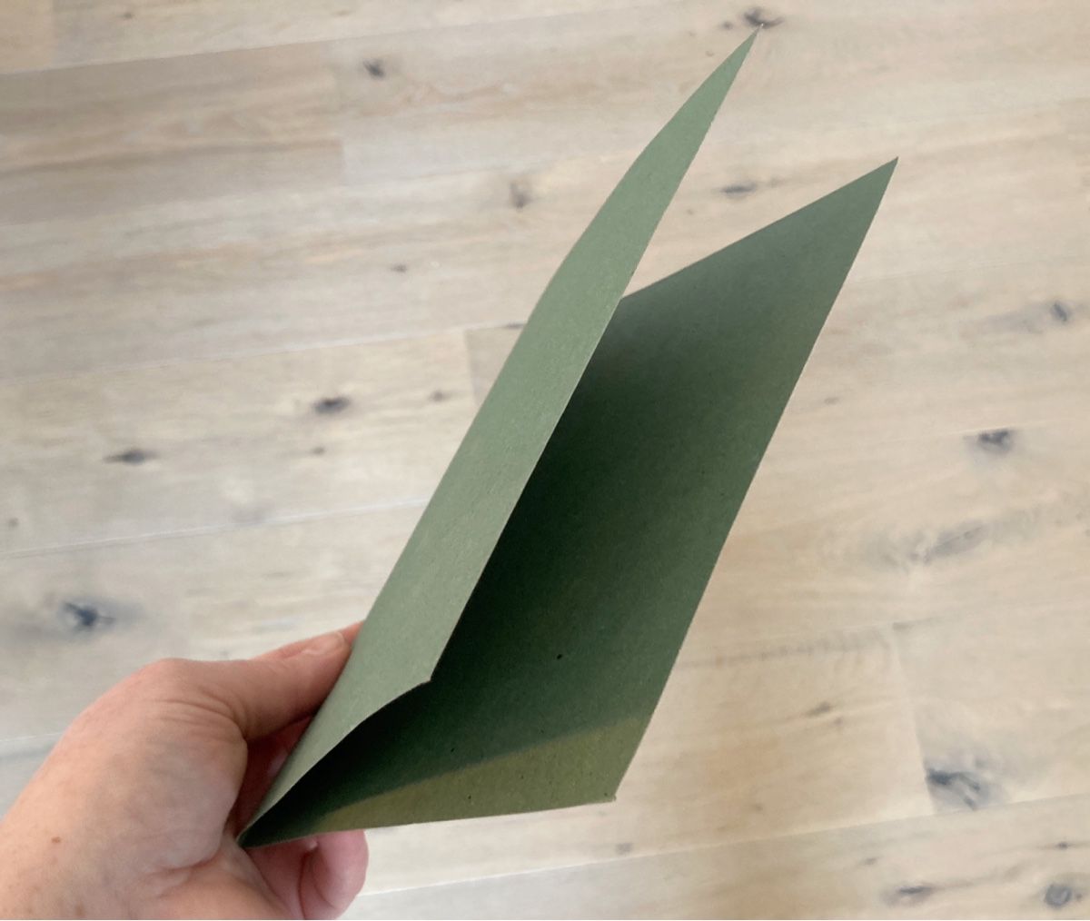 Karten: 50er Set A5 Klapp Karten mit Couverts, Eukalyptus grün – Neu (gemäss Beschreibung) aus Eggenwil von Lissi82 4