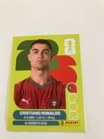 Image panini 2026