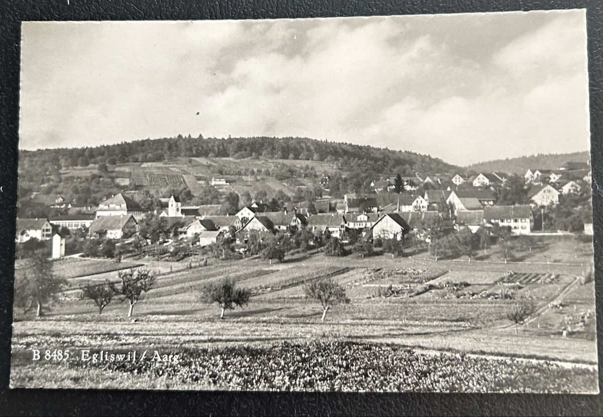 Cartes postales: AK Egliswil AG – D'occasion à Horw par Tellbub