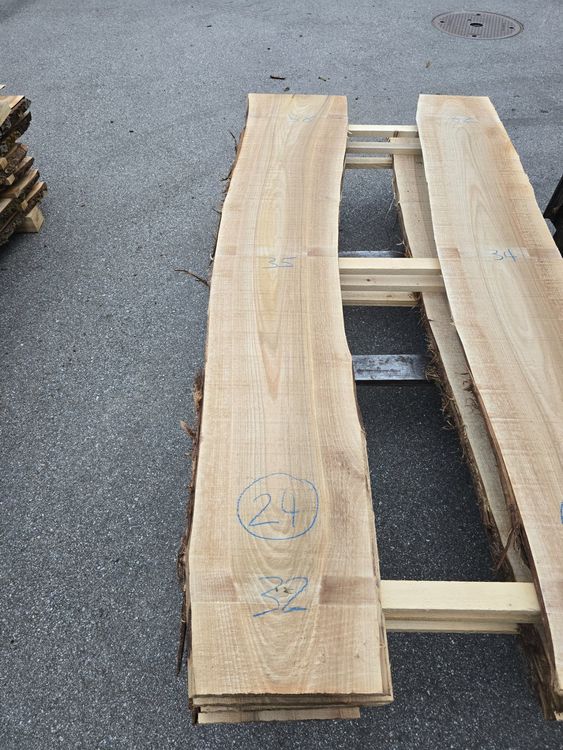 Articoli in legno: Nussbaumbrett Nr 24 – Nuovo (secondo la descrizione) da Lützelflüh-Goldb venduto da ch.waelchli-holz.ch