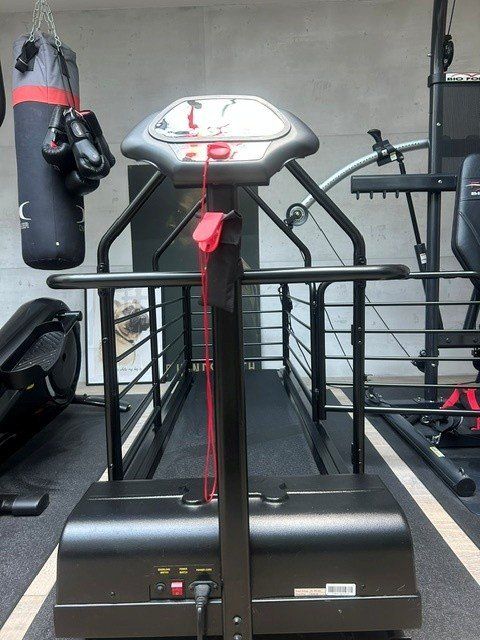 Pezzi di ricambio: DOG Runner Ortho Pro – Usato da Uster venduto da nirvana333 2