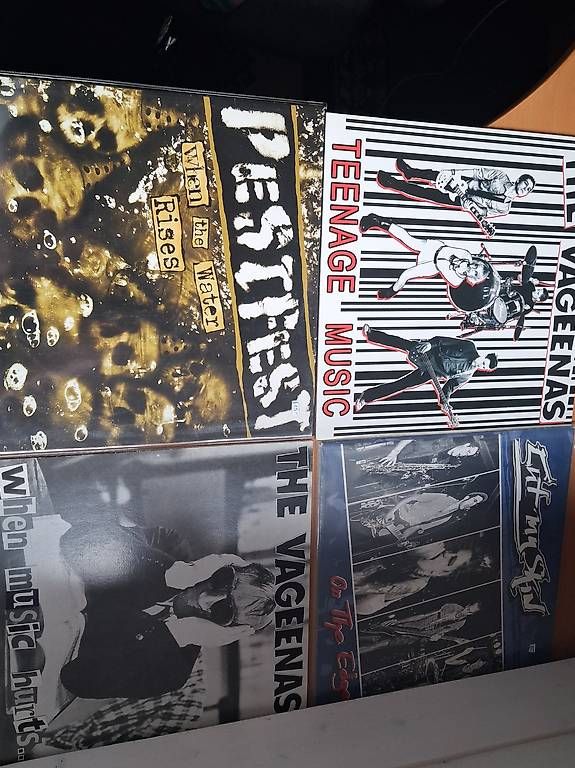 Dischi in vinile: Punk auf Vinyl von Deutschen Interpreten – Usato da Niederönz venduto da bea_fn77