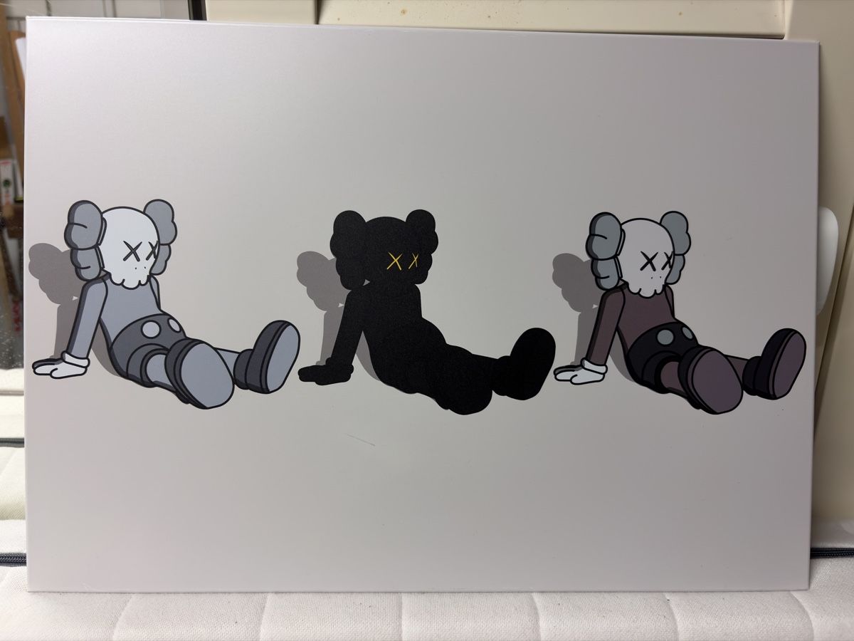 Foto & Immagini: Displate Metallposter KAWS – Usato da Frauenfeld venduto da jon_dlt7