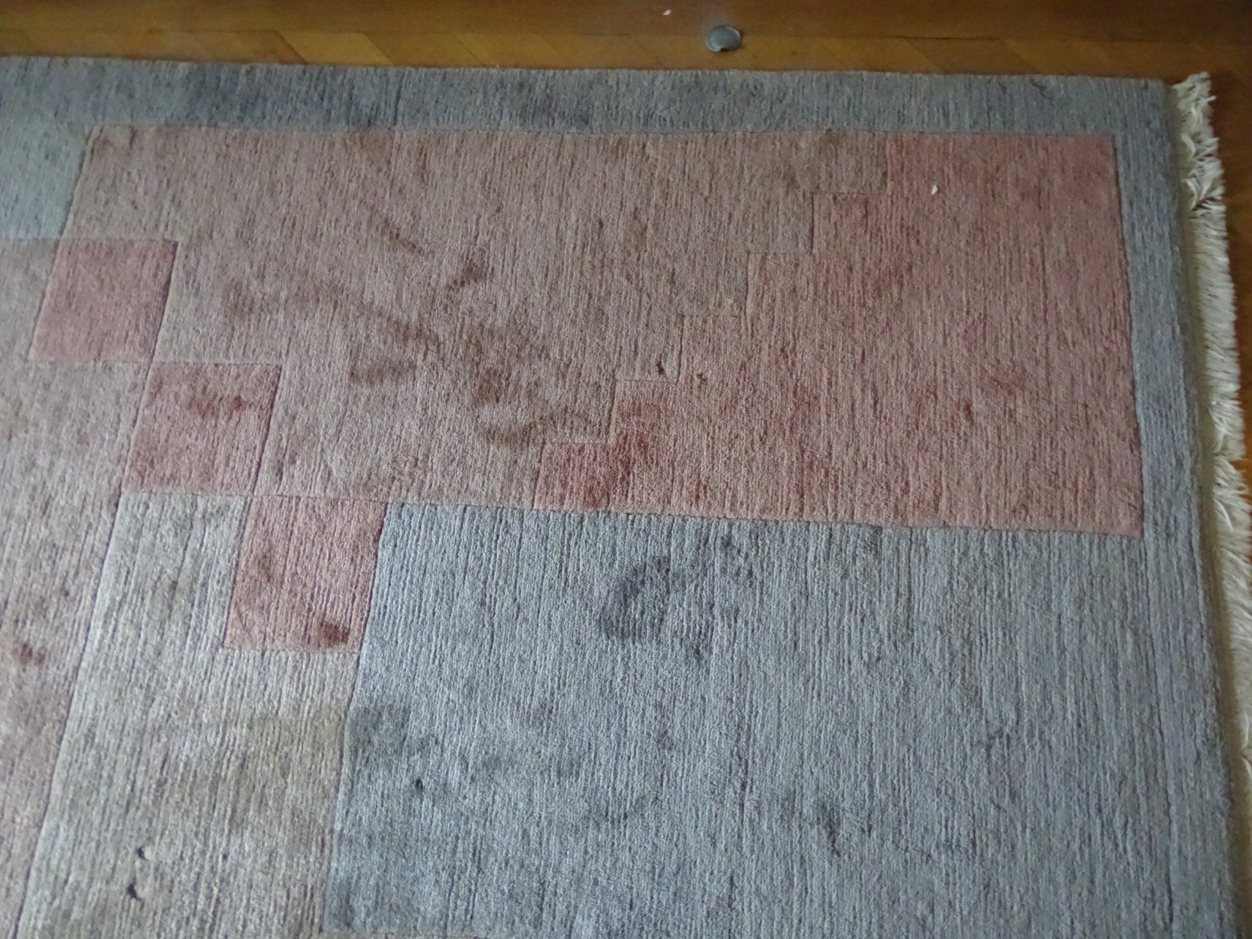 Tappeti: Tibeter Teppich 300 x 250 cm ehemals 5040.- – Usato da Au ZH venduto da xelagreb01 5