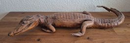 Antikes Ausgestopftes Krokodil 64cm