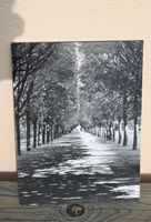 Schwarzweiss-Bild: Allee im Herbst (23x32cm)