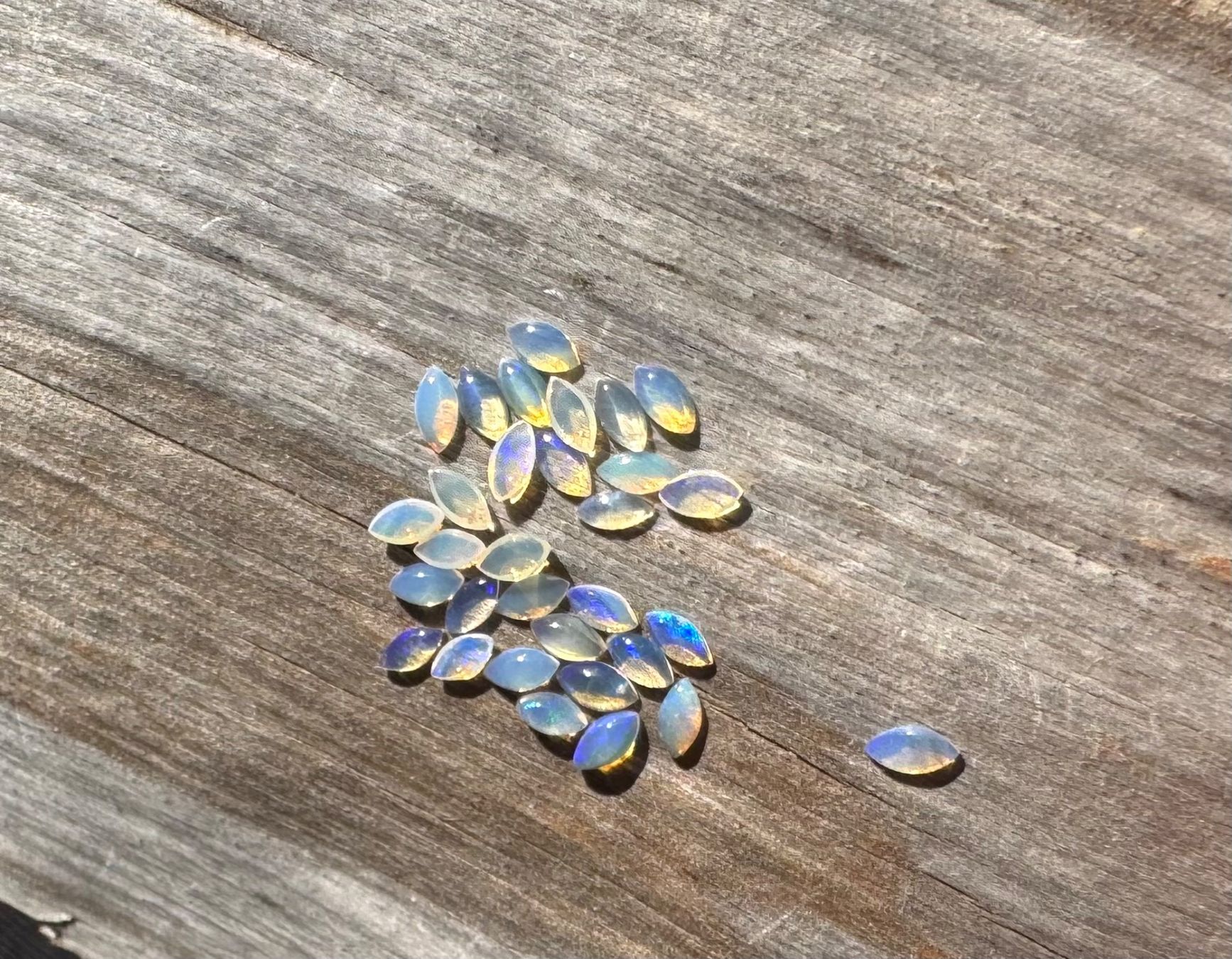 Fossili: 30 Stk  Cabochons Opal  echt!! winzig neu    2x4mm  solid – Nuovo e nell'imballaggio originale da Leuggern venduto da gemshow 5