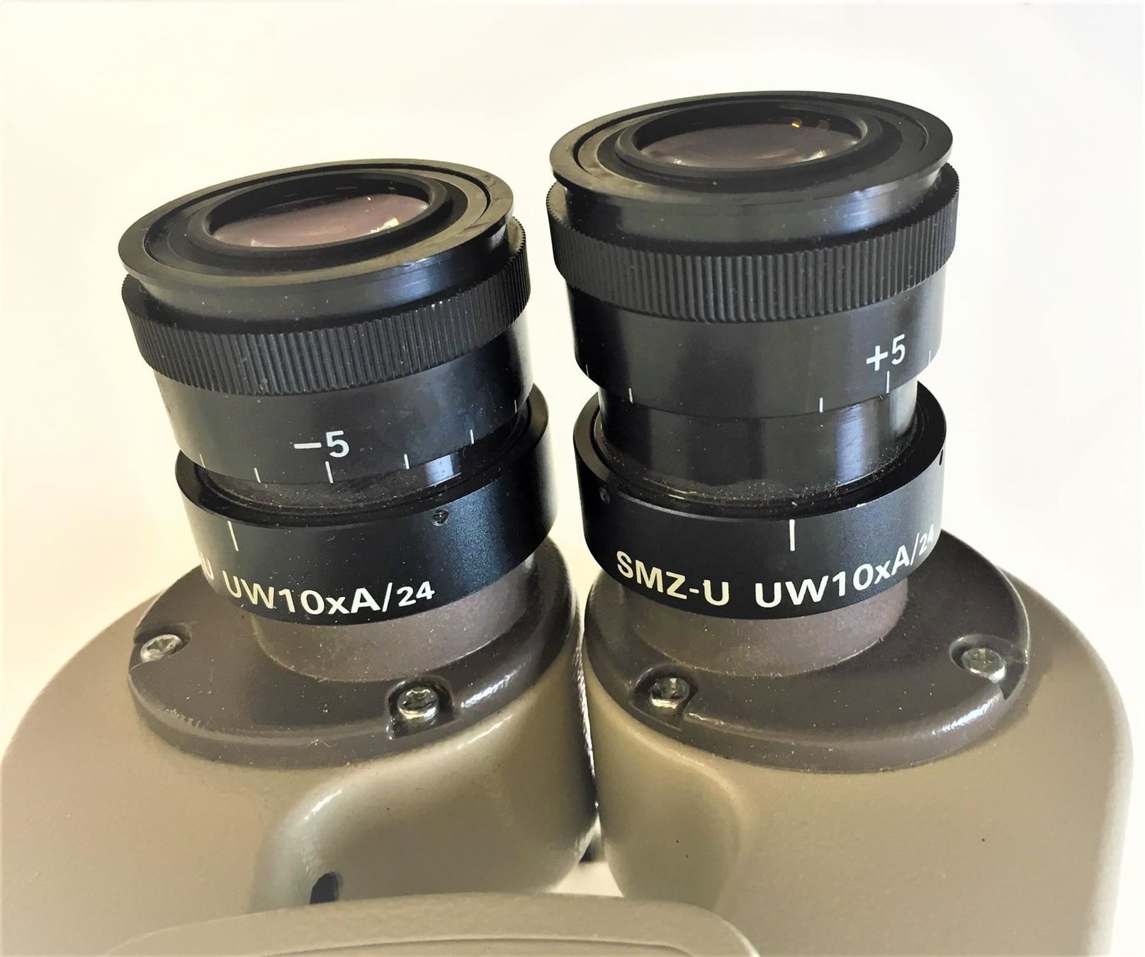 Nikon Mikroskopie: Nikon Mikroskop & Kamera mit Bildschirm – Gebraucht aus Niederdorf von LeptonAG_Labor 6