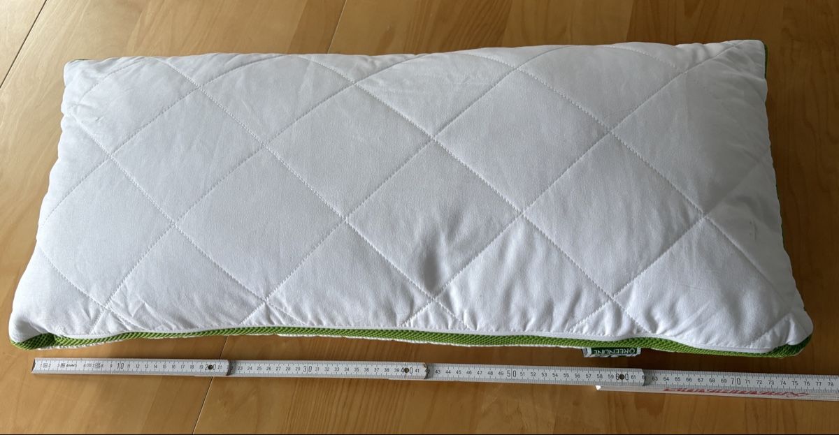 Coussins: Kopfkissen irisette Greenline – D'occasion à Auenstein par 5222