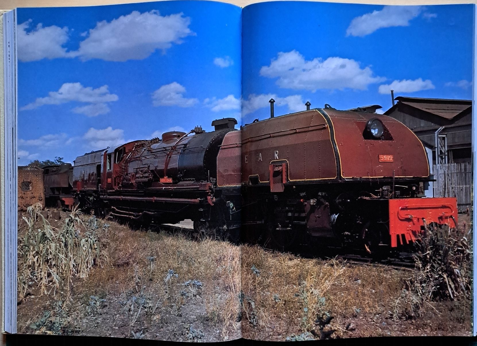 Libri: Buch: Geschichte der Eisenbahn – Usato da Bettwil venduto da Aenggi17 4