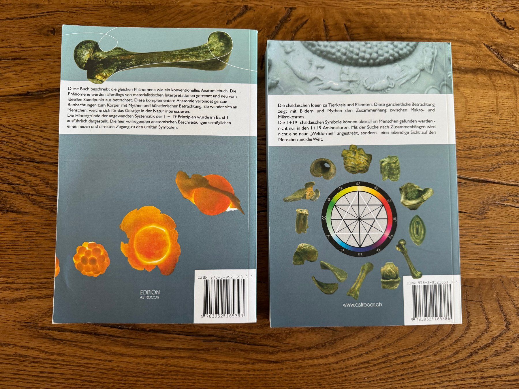 Libri: Buch Sterne und Körper Beat Hampe – Usato da Oberrohrdorf venduto da ker_5h67 1