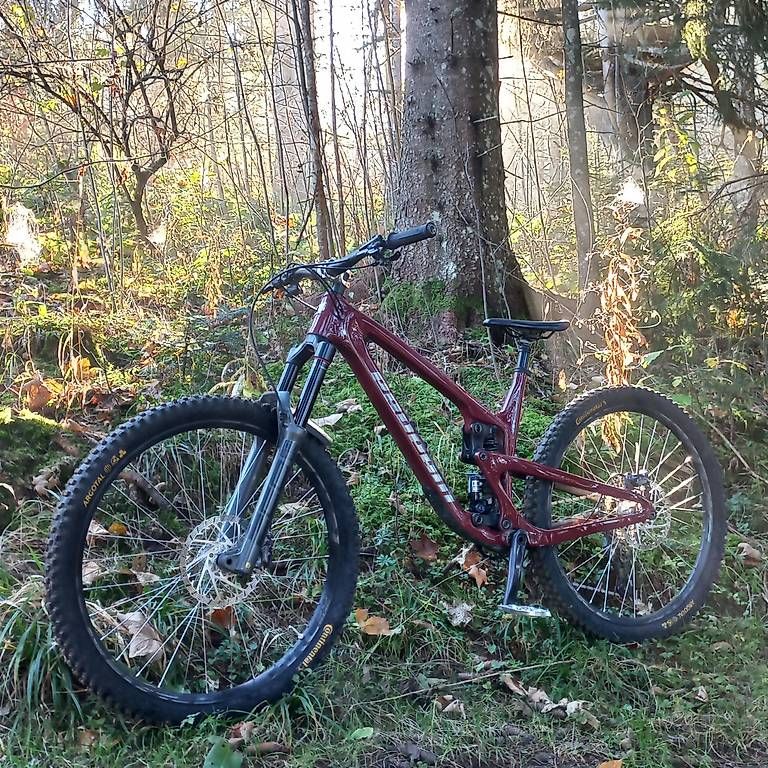 Vélos: VTT Enduro Propain Tyee 5 CF taille L 29" – D'occasion à La Tour-de-Peilz par zen_cqh5