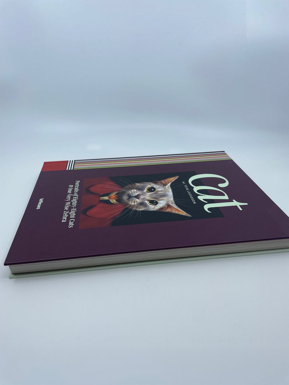 Libri: CAT - by Tein Lucasson – Nuovo (secondo la descrizione) da Pfeffingen venduto da Paco1991 3