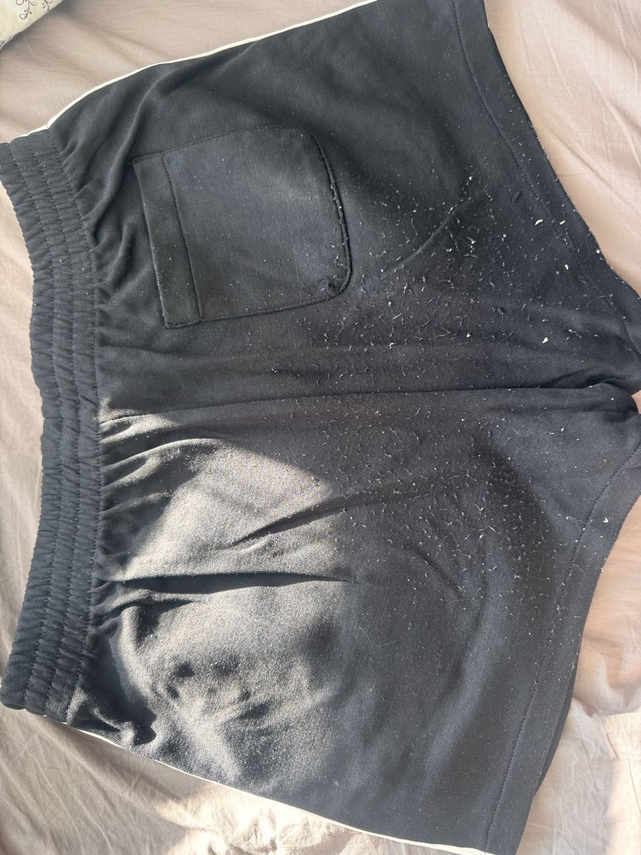 Hosen: Oysho hose – Gebraucht aus Baden von psc_tbw2 2