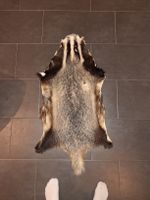 Dachsfell
