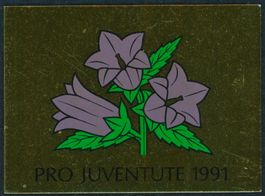 1991 - Pro Juventute - Markenheftchen - Ersttag ET