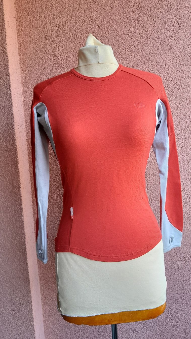 Icebreaker T-shirt: Icebreaker Langarmshirt – Usato da Innerthal venduto da System_of_a_down